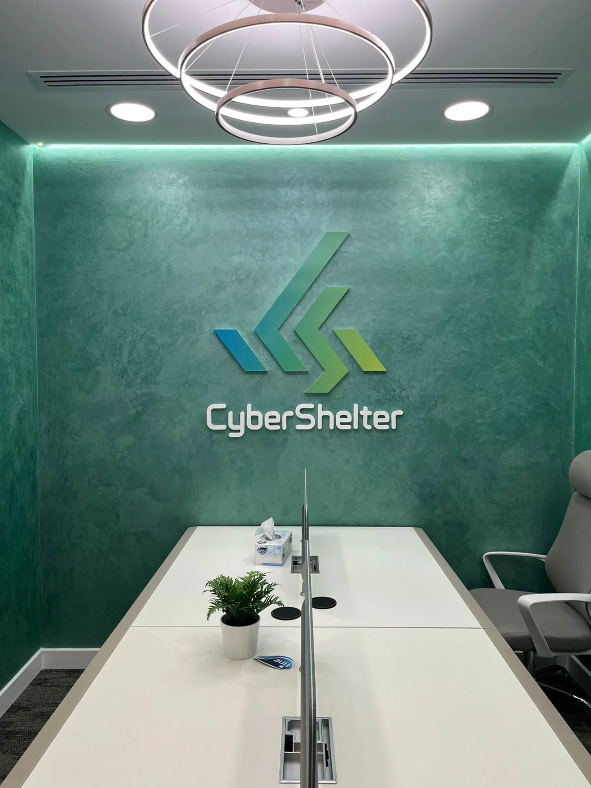 Founded with a Mission to Secure the Digital World